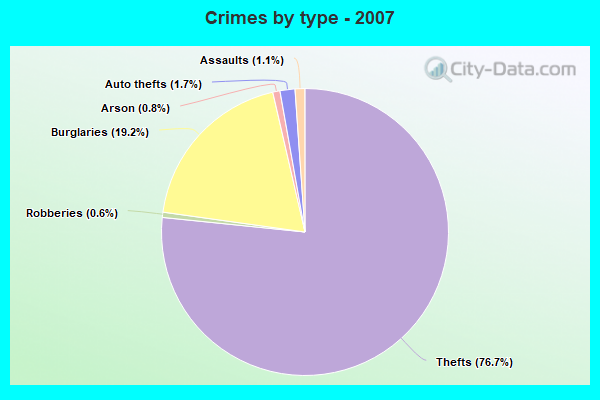 Crimes by type - 2007