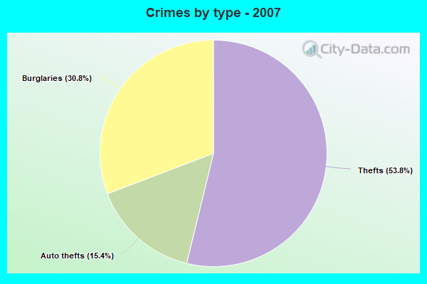 Crimes by type - 2007