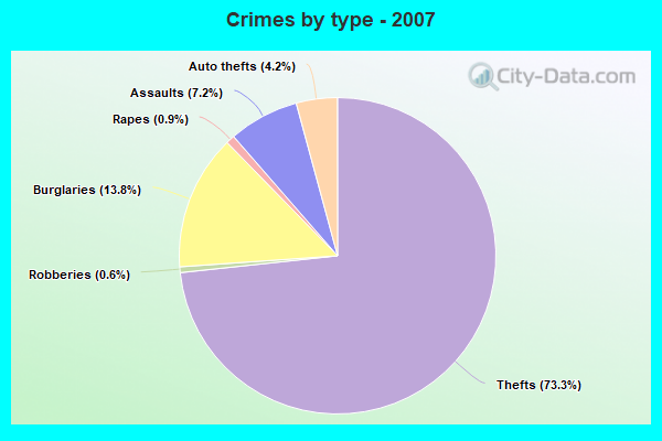 Crimes by type - 2007