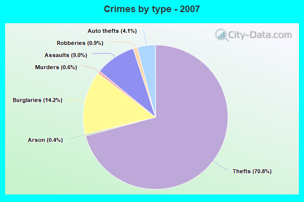 Crimes by type - 2007