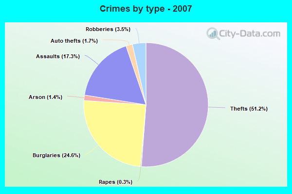 Crimes by type - 2007