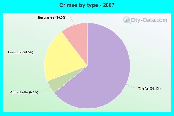 Crimes by type - 2007