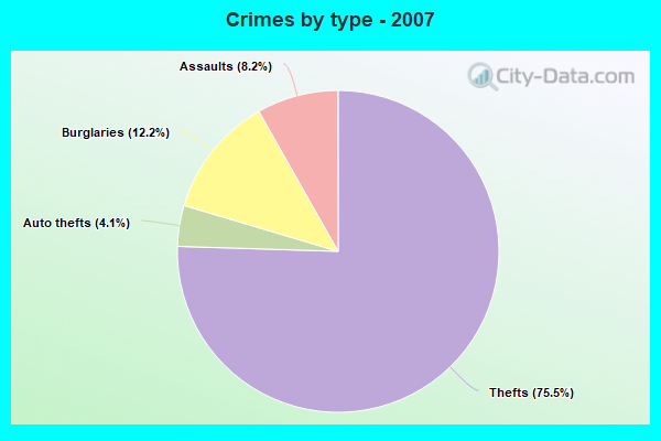 Crimes by type - 2007