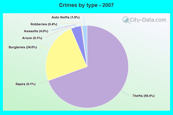 Crimes by type - 2007