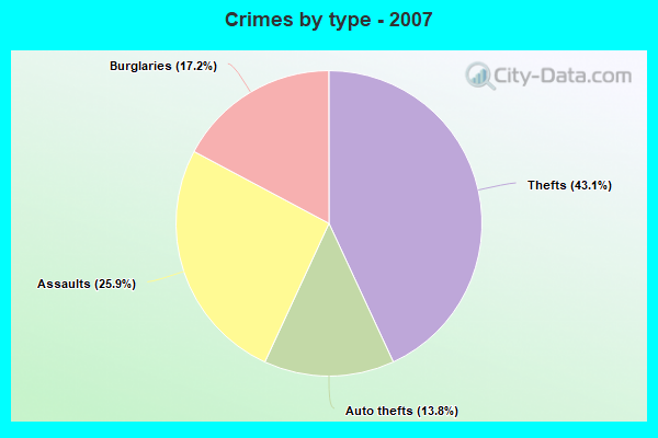 Crimes by type - 2007