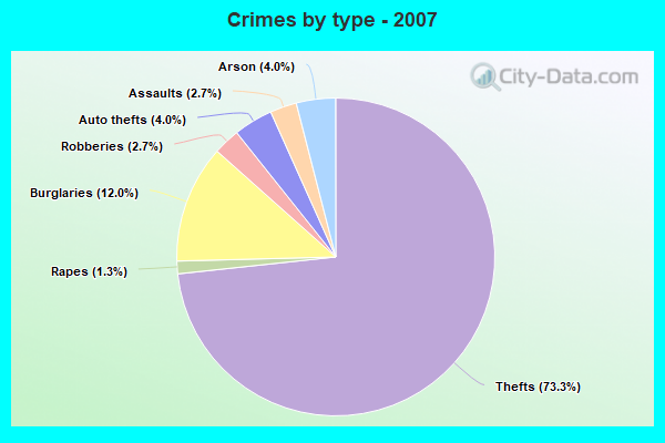 Crimes by type - 2007