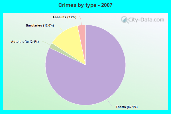 Crimes by type - 2007