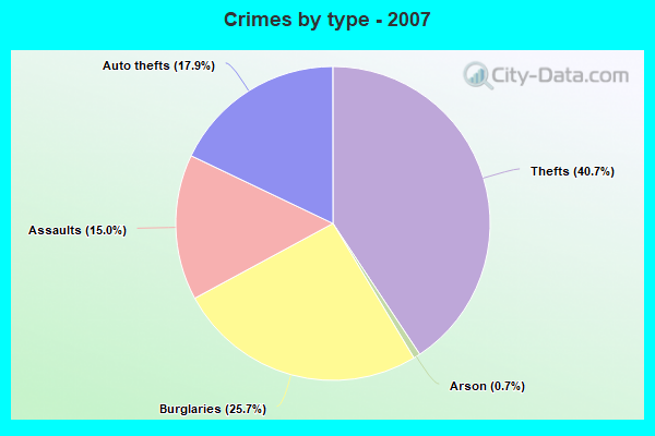 Crimes by type - 2007