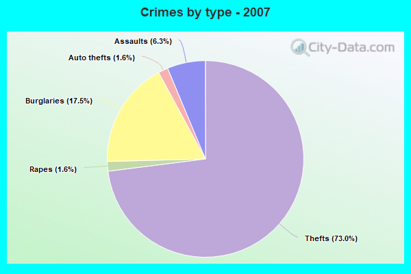 Crimes by type - 2007