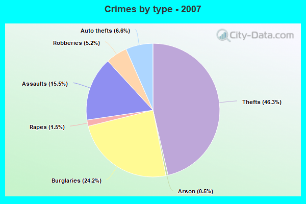 Crimes by type - 2007