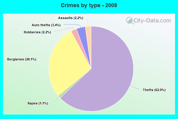 Crimes by type - 2008