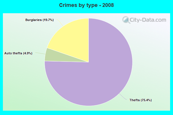 Crimes by type - 2008