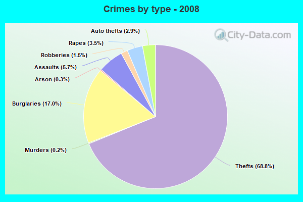 Crimes by type - 2008