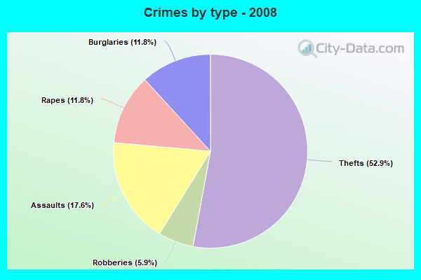 Crimes by type - 2008