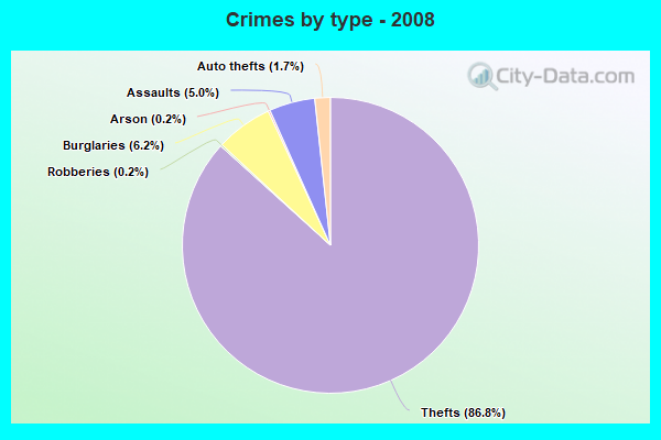 Crimes by type - 2008