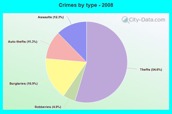 Crimes by type - 2008