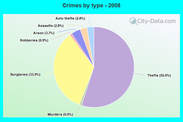 Crimes by type - 2008