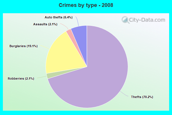 Crimes by type - 2008