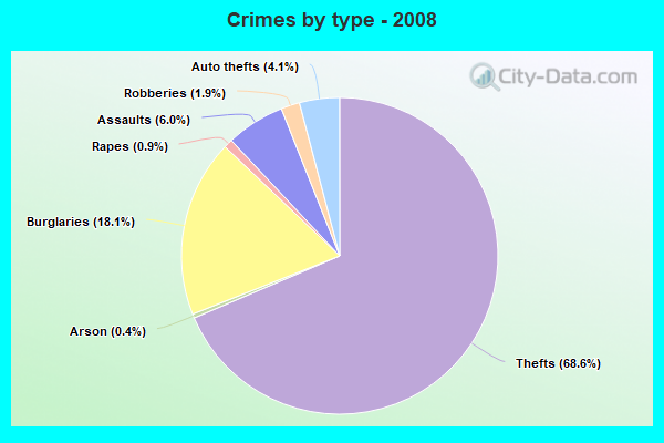 Crimes by type - 2008