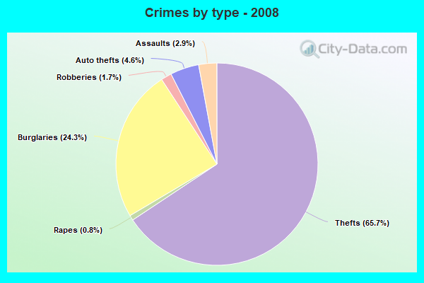 Crimes by type - 2008