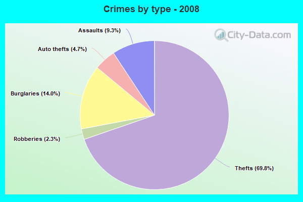 Crimes by type - 2008