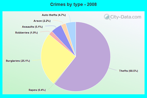 Crimes by type - 2008