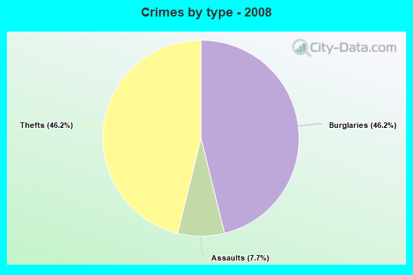 Crimes by type - 2008