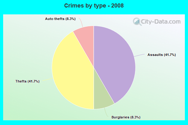 Crimes by type - 2008