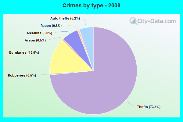 Crimes by type - 2008