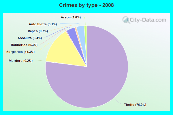 Crimes by type - 2008