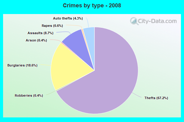 Crimes by type - 2008