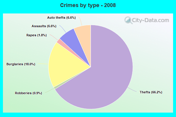 Crimes by type - 2008