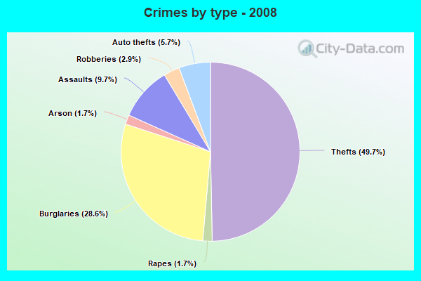 Crimes by type - 2008