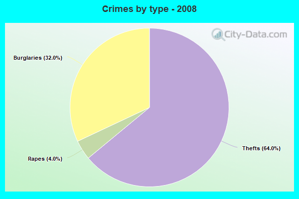 Crimes by type - 2008