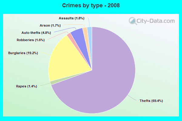 Crimes by type - 2008