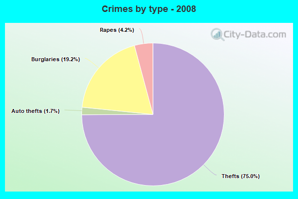 Crimes by type - 2008