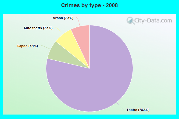 Crimes by type - 2008