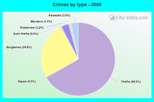 Crimes by type - 2008