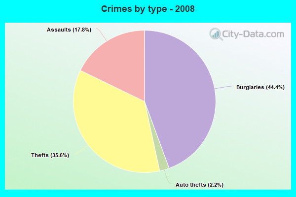 Crimes by type - 2008