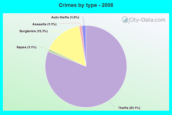 Crimes by type - 2008