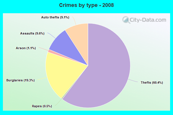 Crimes by type - 2008