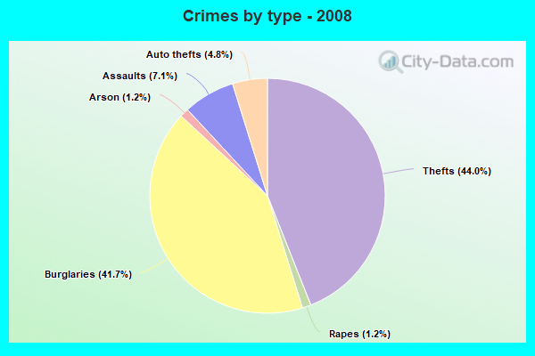 Crimes by type - 2008