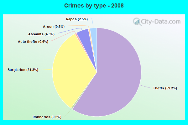 Crimes by type - 2008