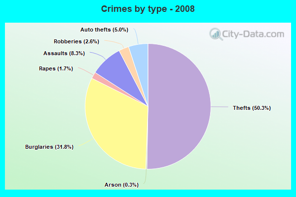 Crimes by type - 2008