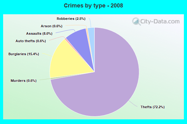 Crimes by type - 2008