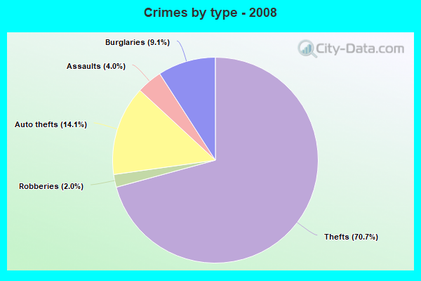 Crimes by type - 2008