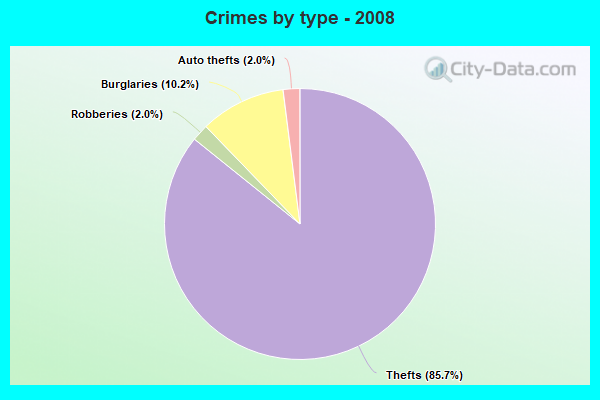 Crimes by type - 2008