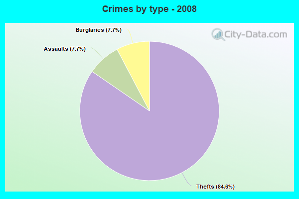 Crimes by type - 2008