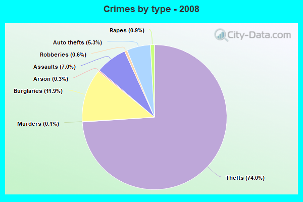 Crimes by type - 2008