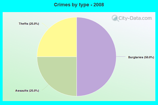 Crimes by type - 2008